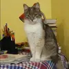 Отзыв от Галина Анохина